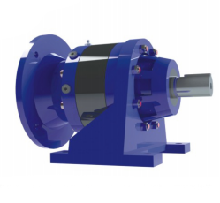 Industrial planetary reducer